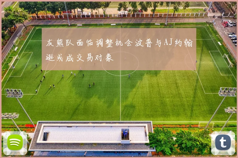灰熊队面临调整机会波普与AJ约翰逊或成交易对象