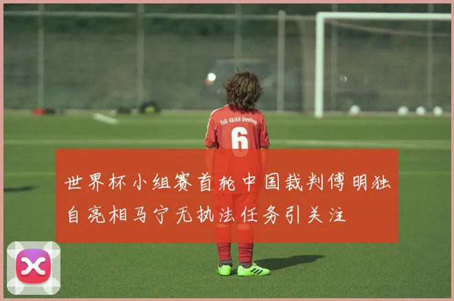 世界杯小组赛首轮中国裁判傅明独自亮相马宁无执法任务引关注