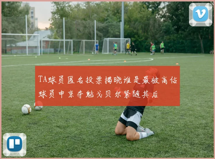 TA球员匿名投票揭晓谁是最被高估球员申京夺魁戈贝尔紧随其后